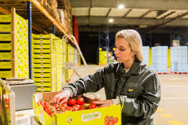 Saveol a donné la réponse aux questions que se posaient les témoins. Offre Emploi Cdd Technicien Support Logiciel Plougastel Daoulas 29 Recrutement En Cdd Par Saveol Ouestjob Com