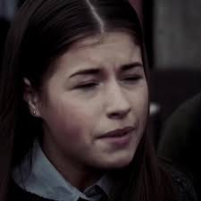 Wolfblood Series: The Mystery of the Missing Laptop