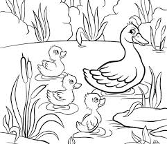 The polished, yet playful theme of the room is el. Cute Duck Coloring Pages Pdf Coloringfolder Com