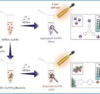 Rapid photothermal detection of foodborne pathogens based on ...