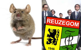 De studenten die aanwezig waren bij de fatale doop van de studentenclub reuzegom riskeren, behalve een strafrechtelijke sanctie, een schorsing van de ku leuven. Levende Muis Door Blender Tot Moes Herleid Gaia Stelt Zich Burgerlijke Partij Tegen Reuzegom Binnenland Hln Be