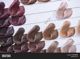 Hair Color Chart Image Photo Free Trial Bigstock