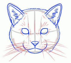 You have just read the article entitled instreamset:drawing tutorial. 670 Draw Cats Ideas In 2021 Animal Drawings Cat Drawing Drawings