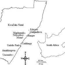 Please note that you will be able to view your courses on. Pdf The Distribution Of Macronutrients Anti Nutrients And Essential Elements In Nettles Laportea Peduncularis Susp Peduncularis River Nettle And Urtica Dioica Stinging Nettle