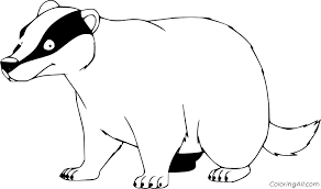 New users enjoy 60% off. Black And White Badger Coloring Page Coloringall