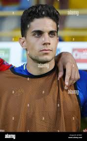 8 marc hi-res stock photography and images