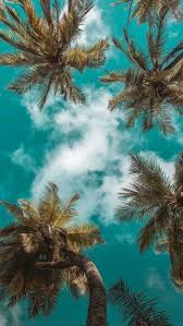See more ideas about summer aesthetic, summer vibes, photo. Summer Vibes Hintergrundbild Nawpic