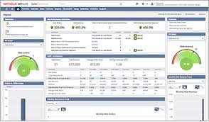 Netsuite Helps Organizations Across Industries Grow With