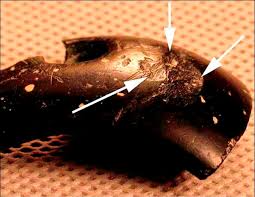 Maybe you would like to learn more about one of these? 40 000 Year Old Bracelet Crafted By Pre Historic Human Ancestors Discovered In The Denisova Cave In Southern Siberia Internet Stones Com Media