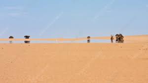 Fata Morgana, water mirage in the Libyan desert - Stock Image - C040/6054 -  Science Photo Library