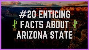 August 11, 2021 | staff writers arizona students can choose from a wealth of nationally r. 20 Enticing Facts About Arizona State Knifefeed Facts