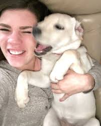 Everyday is national dog day with my Sailor! 🥰🦮❤️