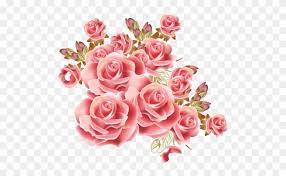 Pngtree memberi anda 96,108 gambar bunga png, vektor, clipart, dan file psd transparan gratis. Bunga Vintage Rosa Cor De Rosa Png Free Transparent Png Clipart Images Download