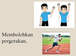 Menaakul kepentingan sistem rangka kepada tubuh manusia: Sistem Rangka Manusia