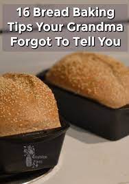 16 Bread Baking Tips Your Grandma Forgot To Tell You Recipe Bread Baking Baking Tips Bread