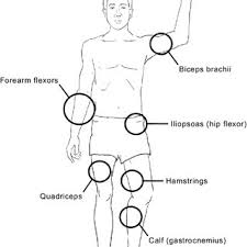 Your hips may be one of the most important areas of your body that you want to keep strong and flexible. Pdf Exercises For People With Hemophilia