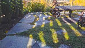 I just moved to salmon arm for a landscaping supervisor job. Best 15 Landscapers In Salmon Arm Bc Houzz