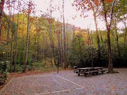 This campground is managed by the adventure pisgah Davidson River Campground Bewertungen Fotos Pisgah Forest Nc Tripadvisor