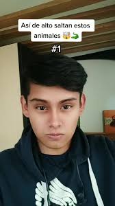 Cuanto Puede Saltar Un Cocodrilo