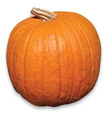 Image result for pumpkins