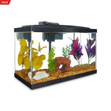 Cats up for adoption fee come with: Aqueon Standard Glass Aquarium Tank 10 Gallon Petco