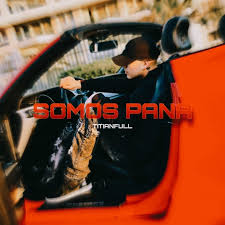 Image result for Manostachya