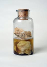 The Artist Trying To Explain Kentucky S Meat Shower Of 1876 Kentucky Mystery Meat