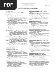 Image result for Rhytachne subgibbosa