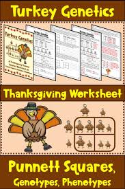 Thanksgiving Punnett Square Worksheet Turkey Genetics Middle School Science Resources Genetics Activities Science Teaching Resources