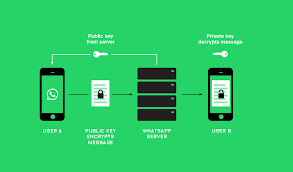 Get New WhatsApp Content Now!