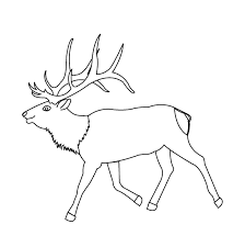 39 bull elk coloring pages for printing and coloring. Coloring Pages Elk
