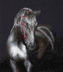 Midnight Stallion Diamond Dotz Diamond Painting Black Stallion Art Kit