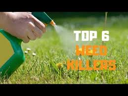 Bioadvanced Fungus Control For Lawns Canada Best Weed Killer In 2019 Top 6 Weed Killers Review Youtube