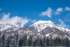 Image result for Malacca Blue 1990 Summit