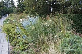 The Top 10 Secrets Of The New York Botanical Garden Botanical Gardens Low Maintenance Plants Botanical