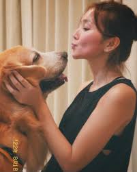 Back in 2013, I wished for a Golden Retriever pup. He sent me an angel  named “Cloud."☁️ Fast forward to 2022, here he is, an 8-year-old gentle  giant. He's the most patient,