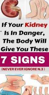 For Your Wellbeing The Kidneys Are Essential Because They Soothe And Moisturize Your System By Releasing 10 150 Quarts Of Health Organic Health Kidney Health