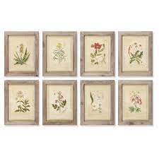Napa home & garden is a fine purveyor of pottery, boxwood topiaries, bird feeders and other home accessories. Napa Home And Garden 8 Piece English Garden Print Wall Art Set Wall Art Prints Traditional Wall Art Flora Print