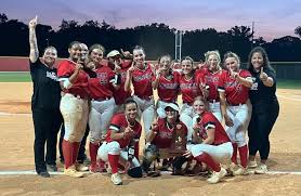 Dunedin Falcons flying high