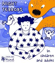 Image result for Night Terror