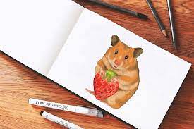 How To Draw A Hamster - An Adorable Hamster Drawing Tutorial