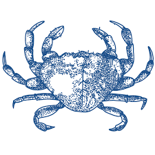 Le Cabanon Marin Restaurant De Fruits De Mer A Bordeaux