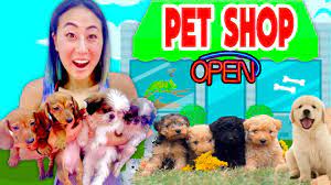 Petfinder has helped more than 25 million pets find their families through adoption. I Opened A Free Pet Store Youtube