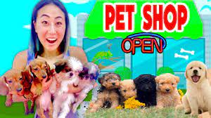 You can see reviews of companies by clicking on them. I Opened A Free Pet Store Youtube