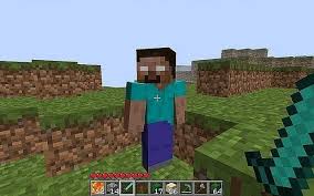 5 times giant spiders caught on camera. Who Is Herobrine In Minecraft Know Everything About Herobrine Story Spawning More