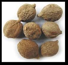 Image result for Terminalia bellirica