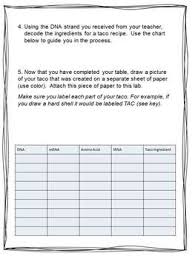 Taco Protein Synthesis Lab Ngss Aligned With Images Protein Synthesis Ngss