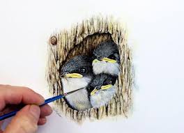 Cute Tree Swallow Chicks Original Watercolor Painting Etsy Original Watercolor Painting Watercolor Bird Birds Painting