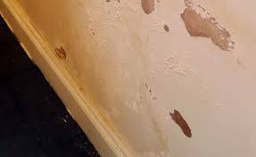 Use a room dehumidifier to remove moisture from spaces with the highest humidity. High Humidity In Basement And How To Prevent It Mt Drains