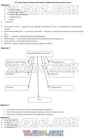 ответы на лабораторные работы по биологии 6 класс пономарева Biologiya 6 Klass Gdz Rabochaya Estestvoznanie 5 Klass Biologiya Matematika